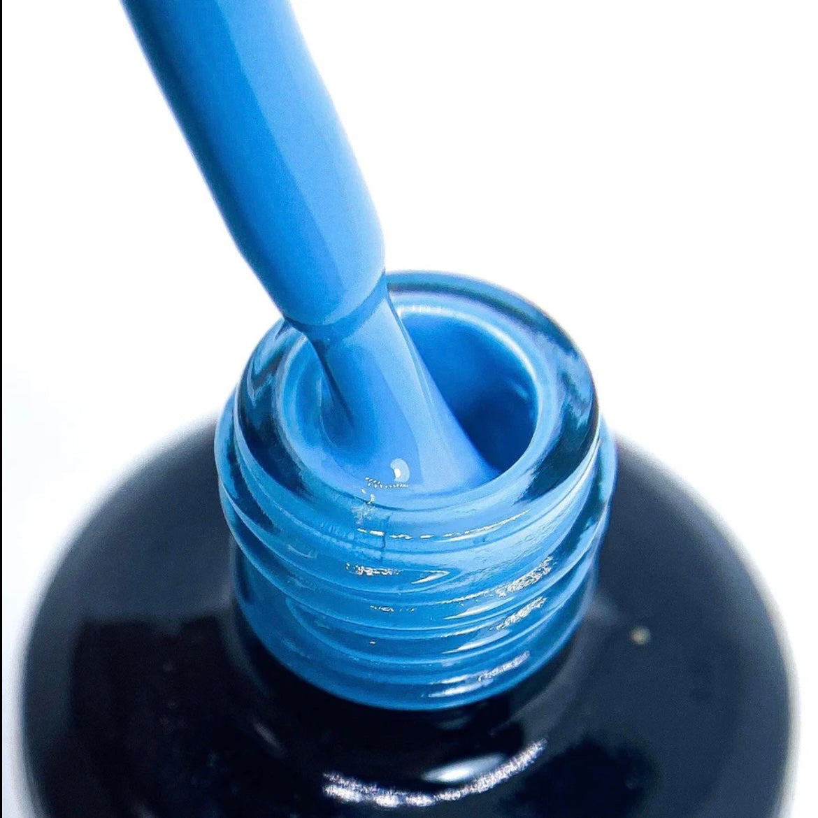 SN171 Blue Bird | HEMA Free